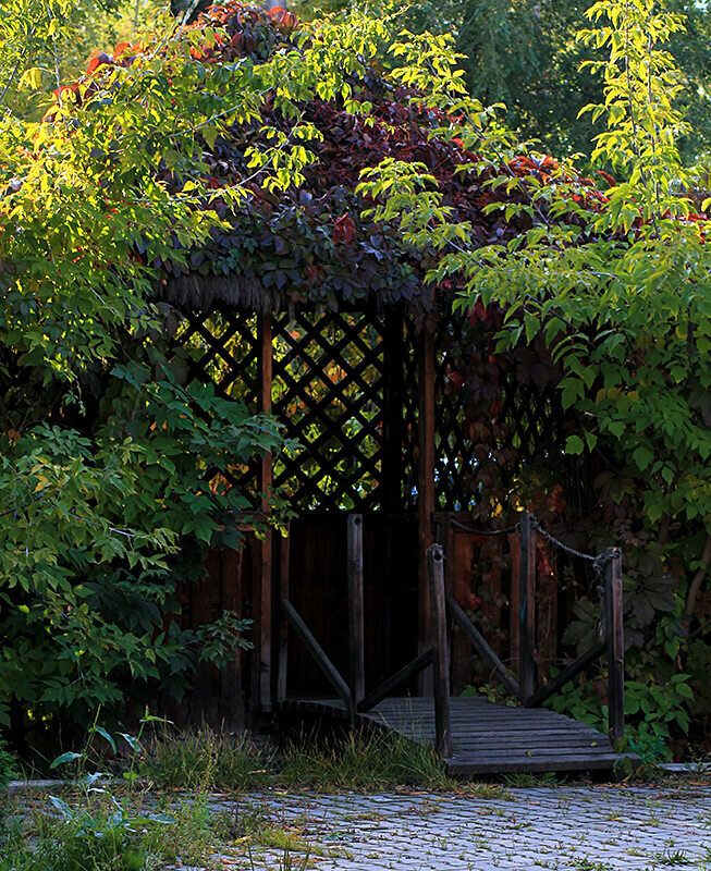 Яндекс-картинки. 