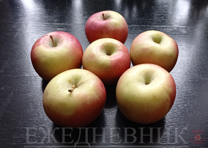 Ежедневник