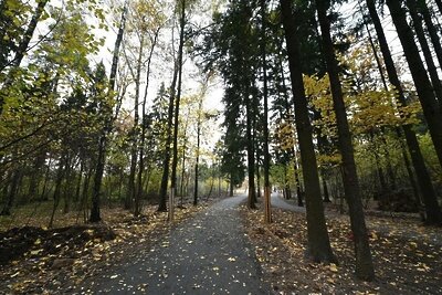    Ольгинский лесопарк © Пресс-служба Министерства благоустройства Московской области