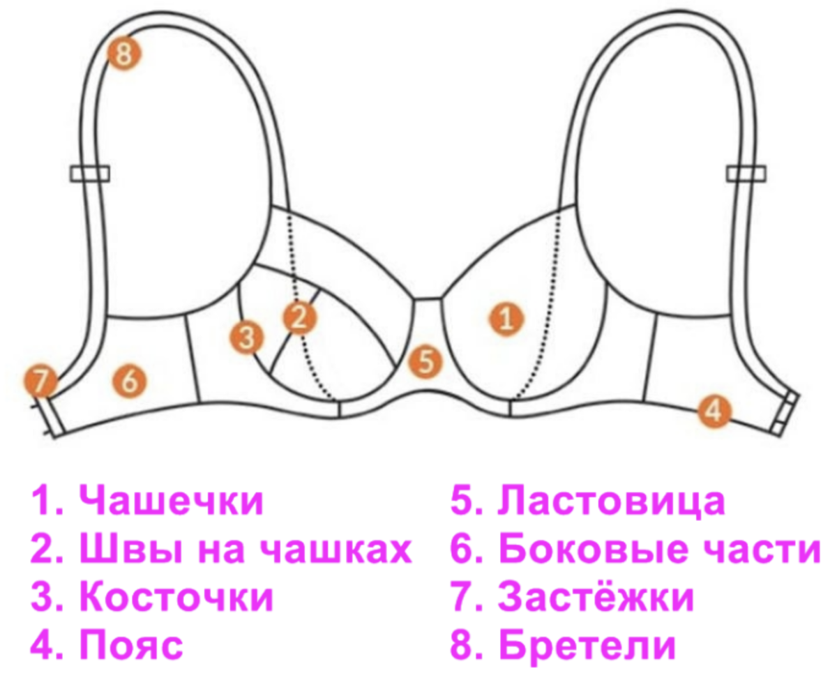 Части бюстгальтера 