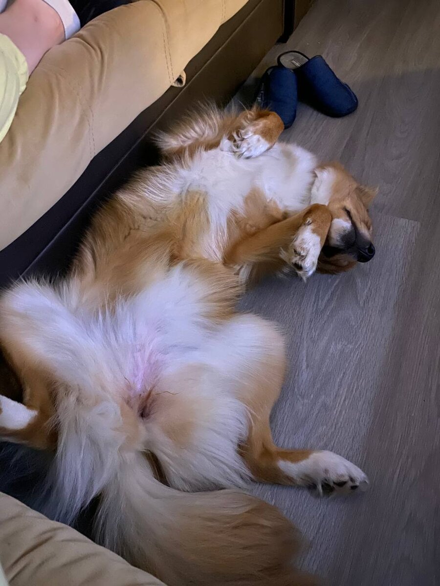-2-2