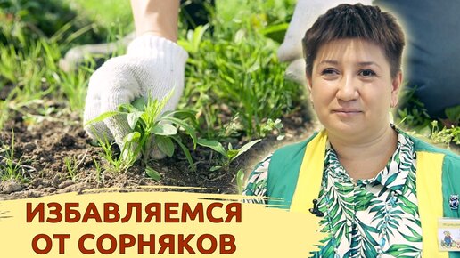 Борьба с сорняками. Представляем самые эффективные препараты