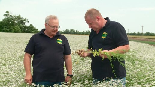 Может ли фермер работать без применения современной науки? Может, но не очень эффективно