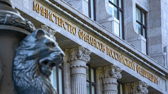    Минфин РФ смягчил условия выплаты дивидендов иностранцам Анастасия Романова