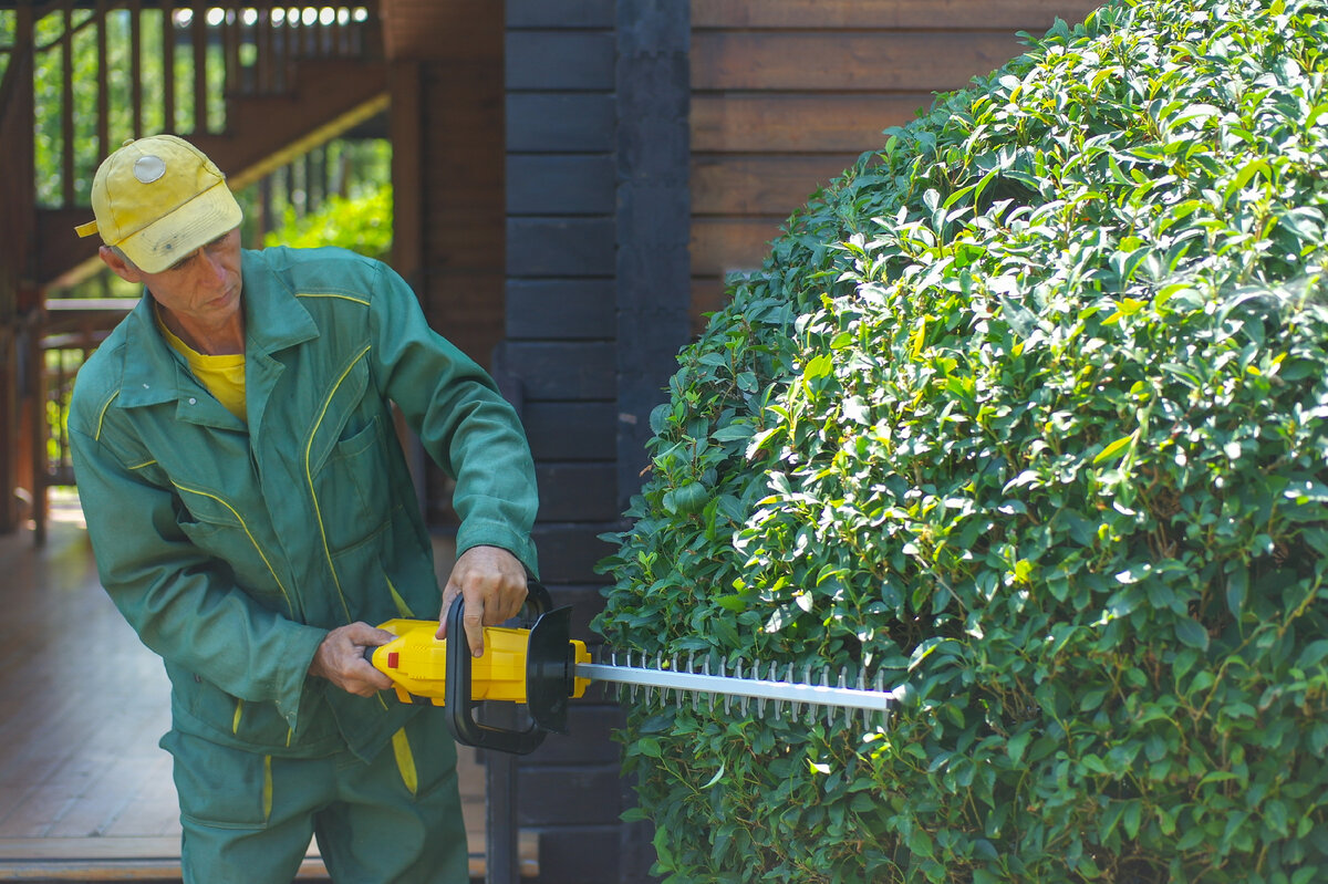 Denzel RBC510-36 Cordless Brush Cutter – аккумуляторный садовый кусторез с мощным коллекторным электромотором на 36V, комплектующийся сразу двумя аккумуляторами. Что из этого вышло, узнаем далее.-15-2