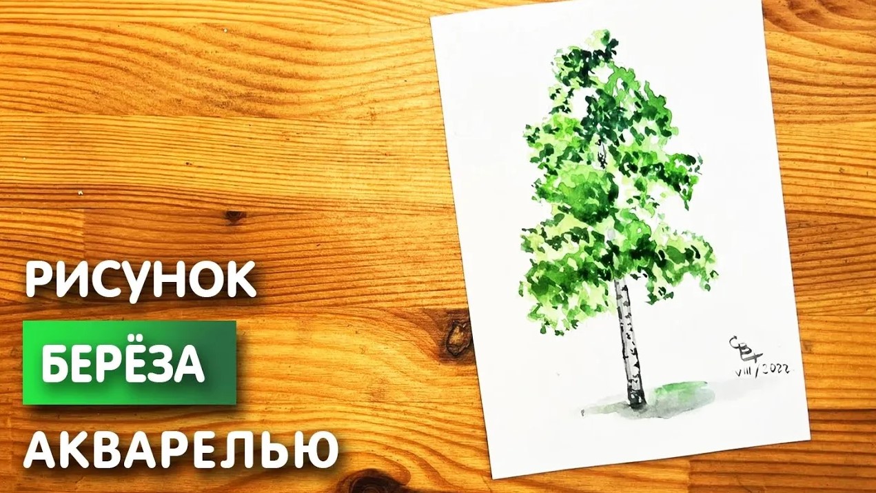 Как нарисовать берёзу ребенку красиво и быстро: поэтапные мастер-классы для начинающих