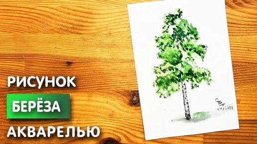 Как нарисовать берёзу карандашом и акварелью начинающим | Рисунок поэтапно и легко для детей