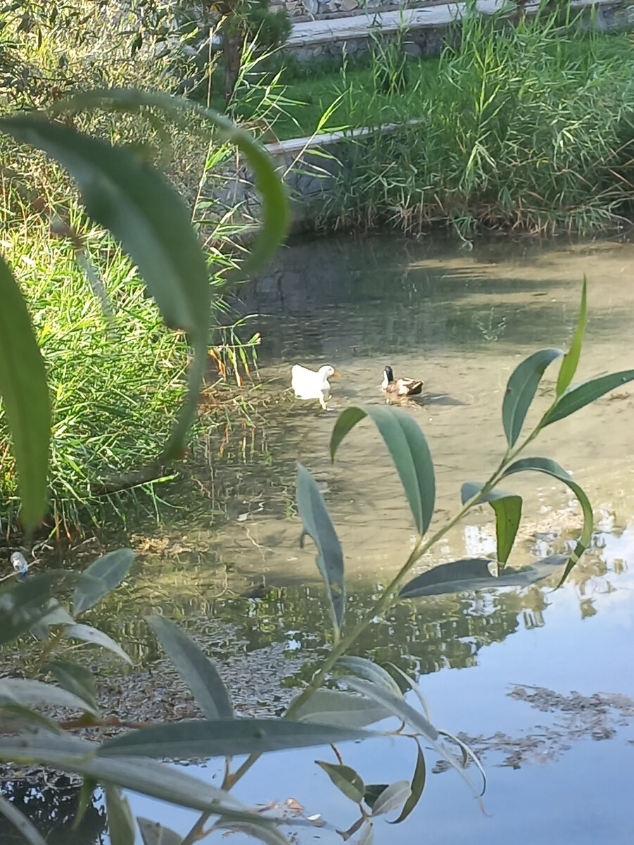 все мы любим подглядывать в чужие окна
