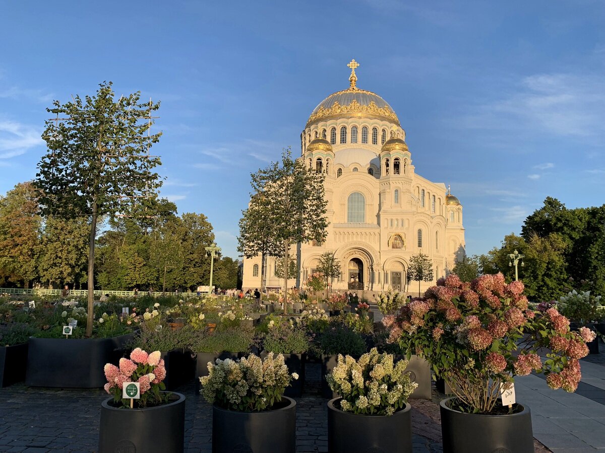 Мезе санкт петербург кронштадт центральная аллея фото