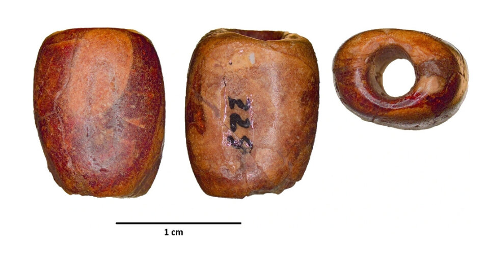   Mercedes Murillo-Barroso et al. / Scientific Reports, 2023
