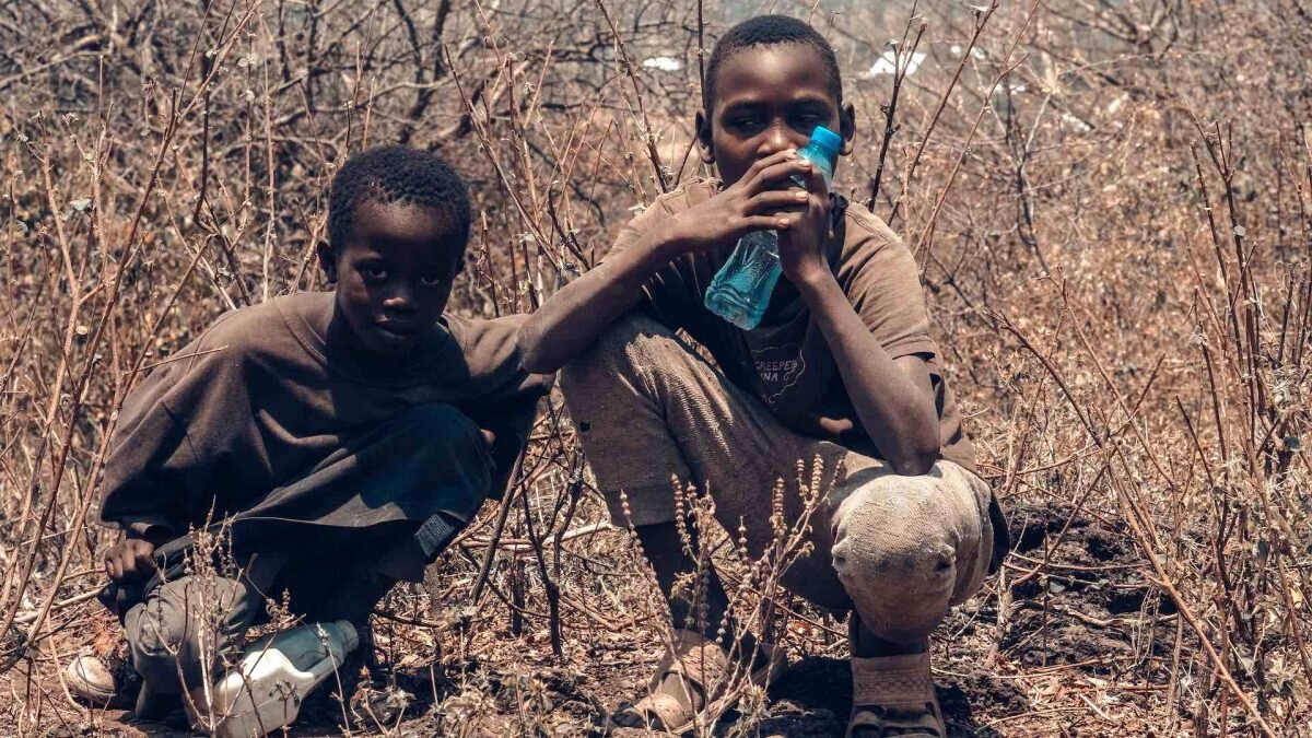    Фото: Unsplash Август Макаров