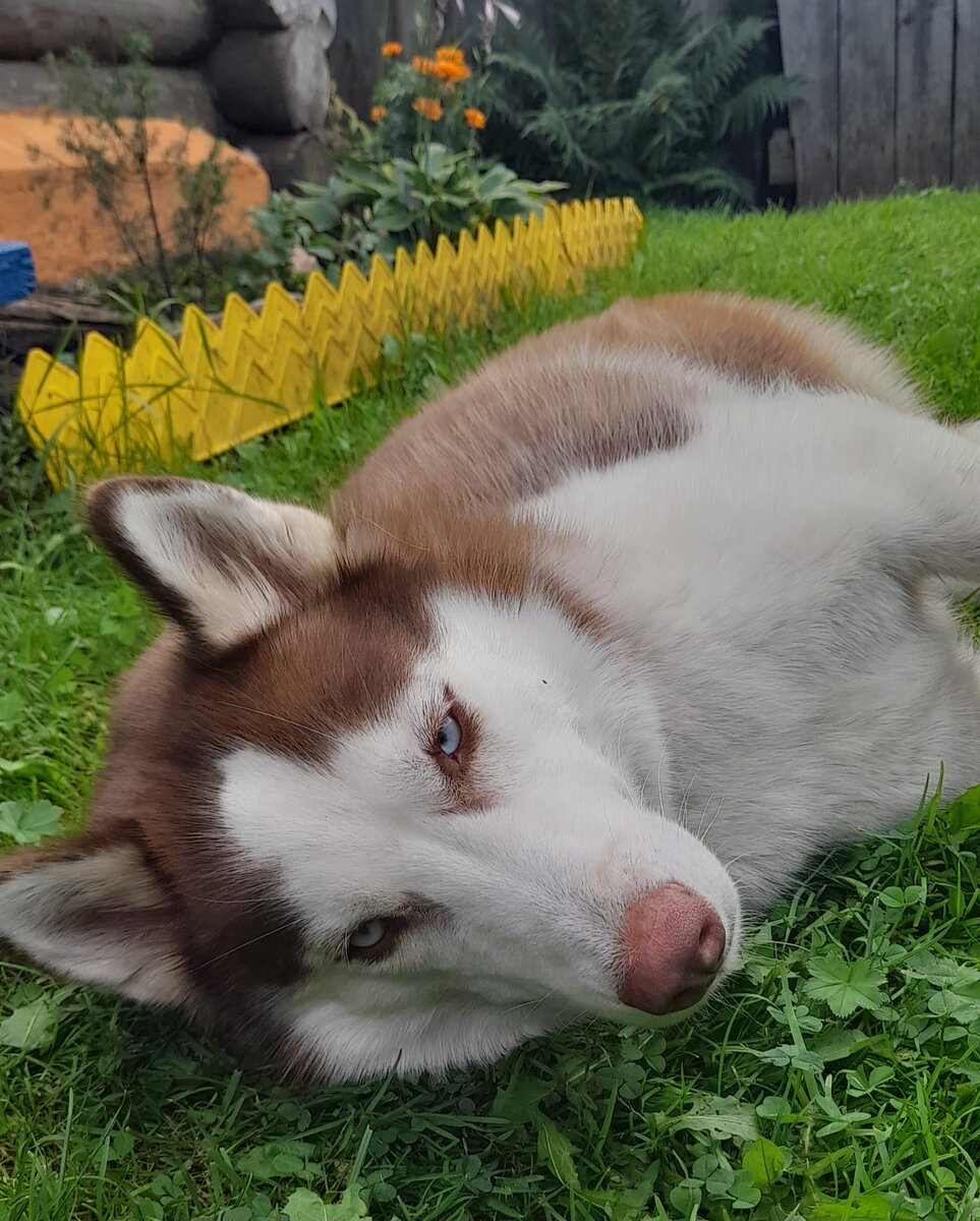 Отдыхать на природе Ная любит 