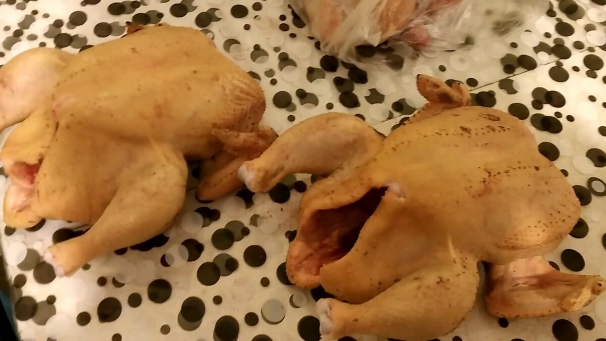 Домашний цыпленок-бройлер в 36 дней весит 1.8 кг. Снято в Крыму.