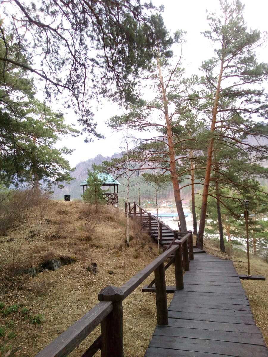 Беседка, смотровая площадка санатория Чемал.