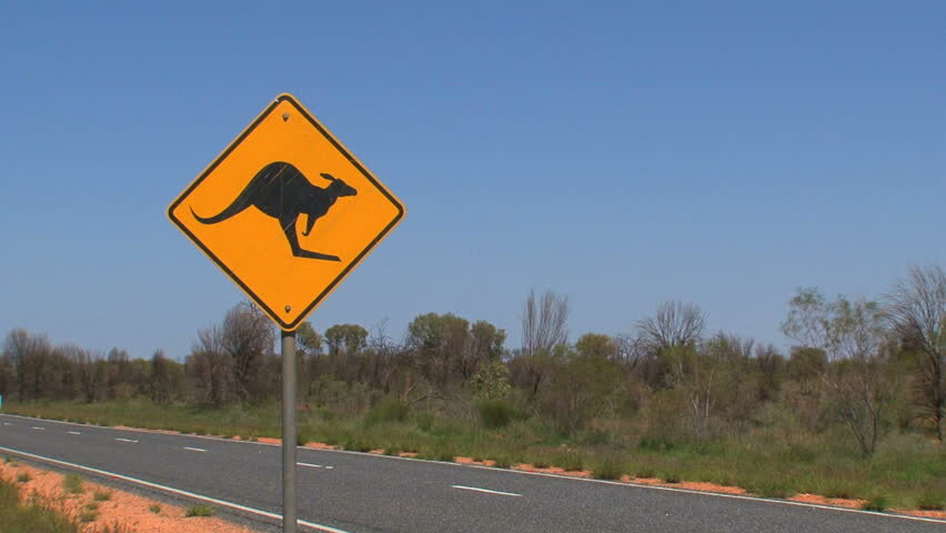 "Это настоящее стихийное бедствие"