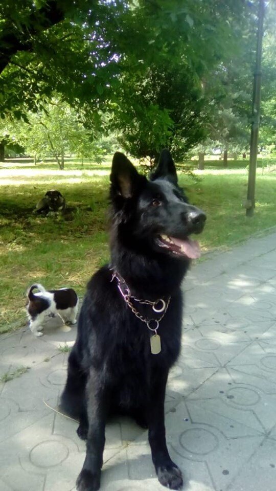 Фото автора