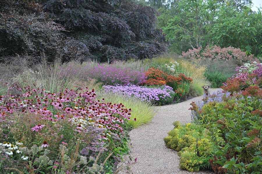 Piet Oudolf " Jurgen Becker in 2022 Landscape design, Landscape, Landscaping shr