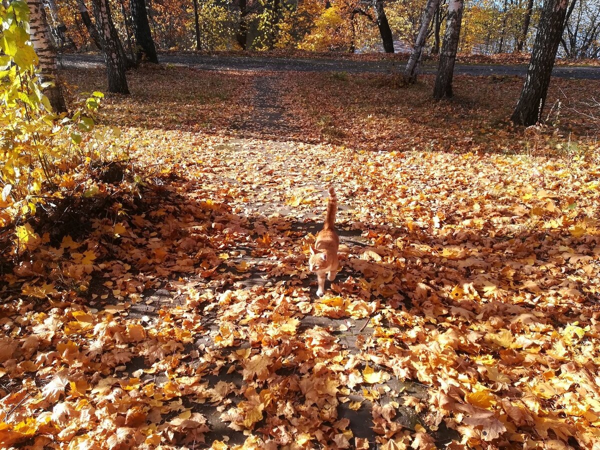 Фото автора истории. 