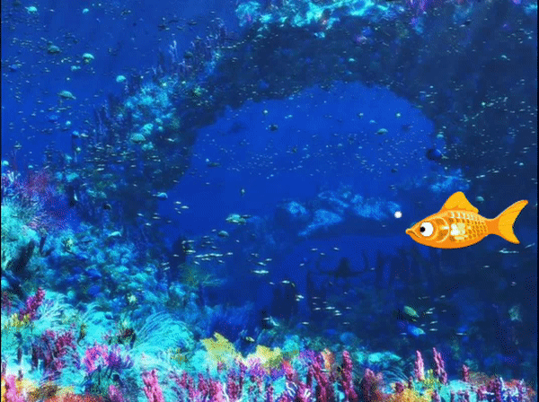 Наша рыбка стала плавать!