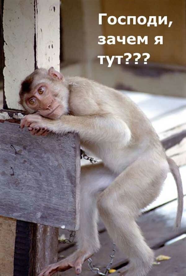 Фото Яндекс Картинки