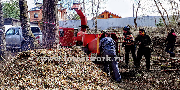 Переработка кустов и мелких деревьев самосева дробилкой (мульчером)
