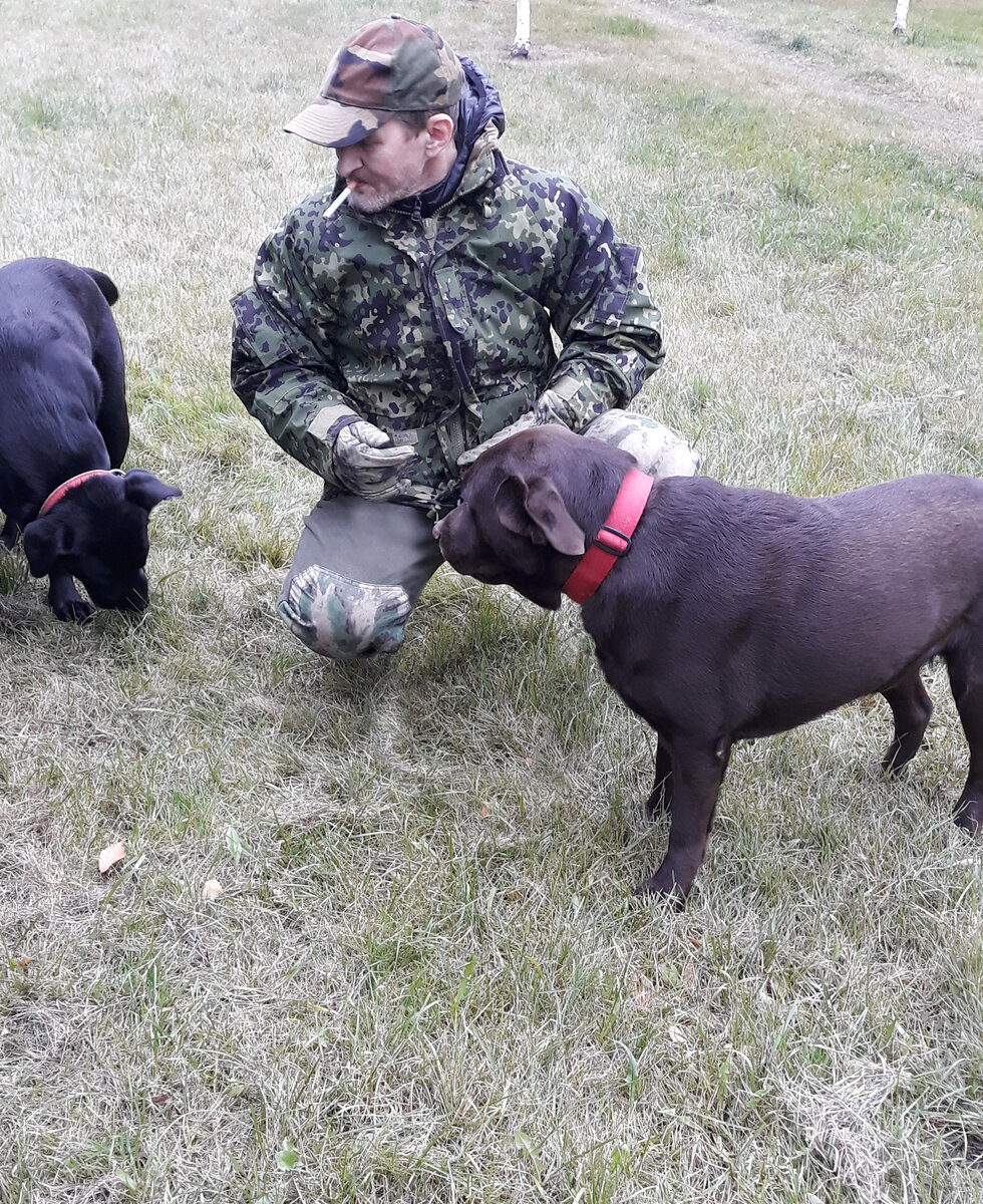 Ганя, Паня и папа