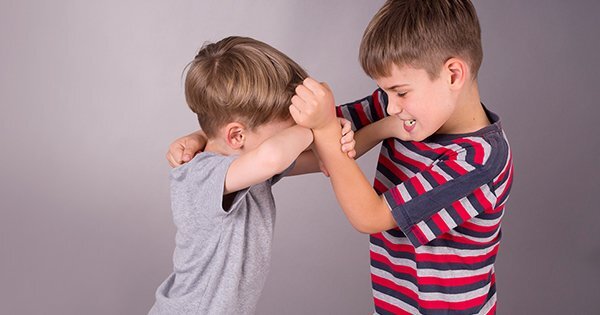 Детские дележки братьев