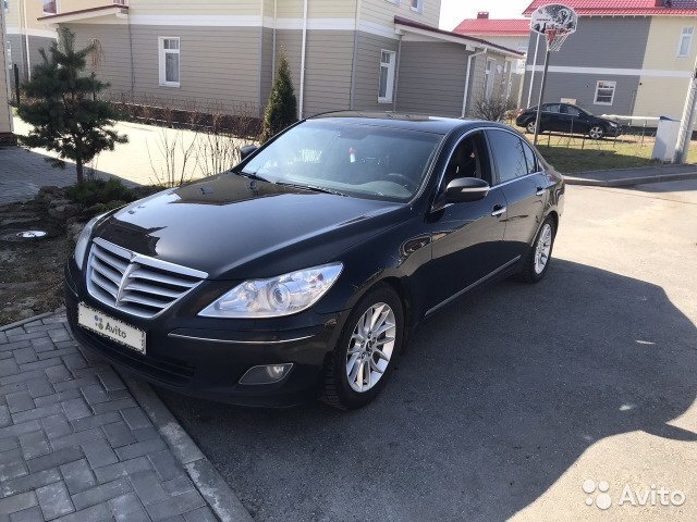 Яндекс картинки Авито