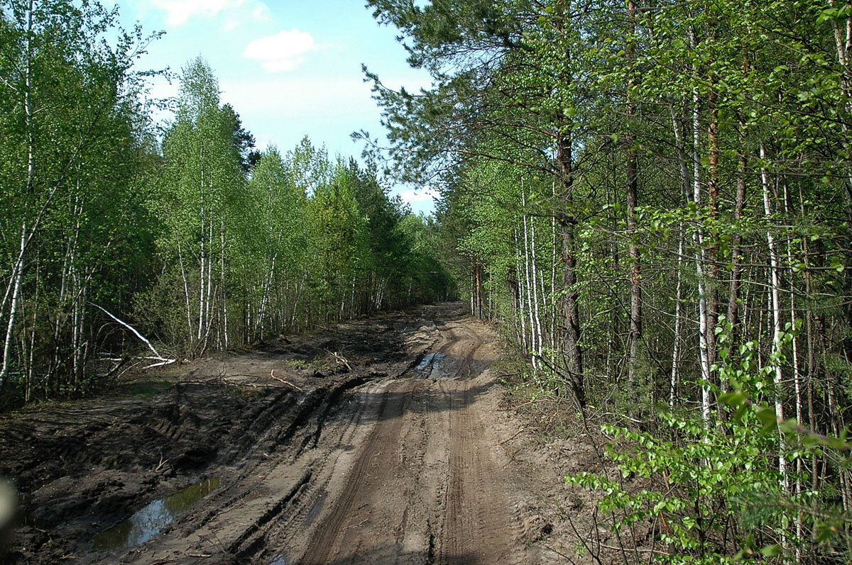 Дороги Мещёры