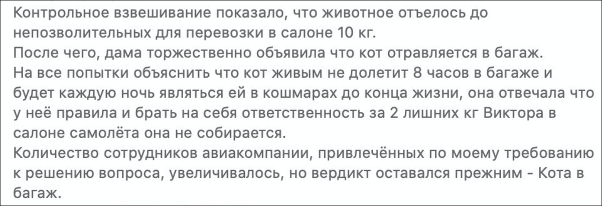 Может ли кот погибнуть, если будет лететь в багажнике самолета? Отвечает пилот 