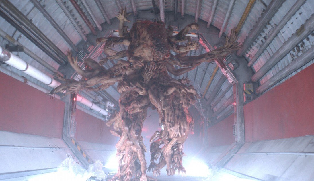 Зигота. Изображение взято из яндекс картинок.