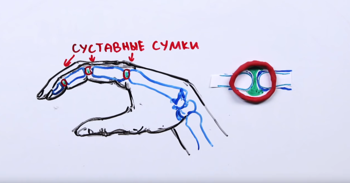 Удивительное щелканье заботятся. Что происходит когда хрустишь пальцами. Хрустеть пальцами вредно. Вредно ли хрустеть пальцами на руках.