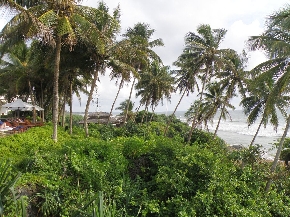 Западное побережье Шри-Ланки, Бентота