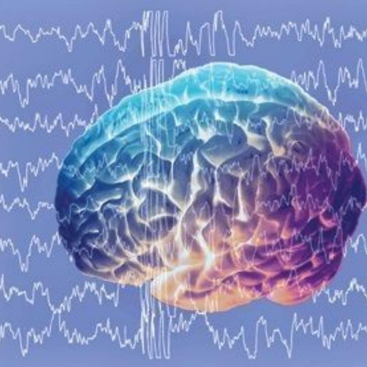 Электрическая активность мозга. Ритмы головного мозга. Электрические волны мозга. Электрические колебания в мозге.
