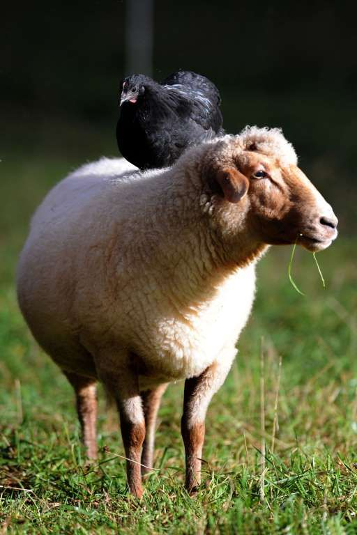 Фото сайта pinterest.es.