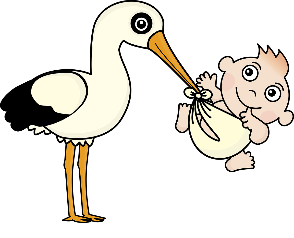 https://pixabay.com/ru/vectors/%D0%B0%D0%B8%D1%81%D1%82-%D1%80%D0%B5%D0%B1%D0%B5%D0%BD%D0%BE%D0%BA-%D1%80%D0%BE%D0%B6%D0%B4%D0%B5%D0%BD%D0%B8%D0%B5-%D1%81%D0%BE%D0%B1%D1%8B%D1%82%D0%B8%D1%8F-1324371/