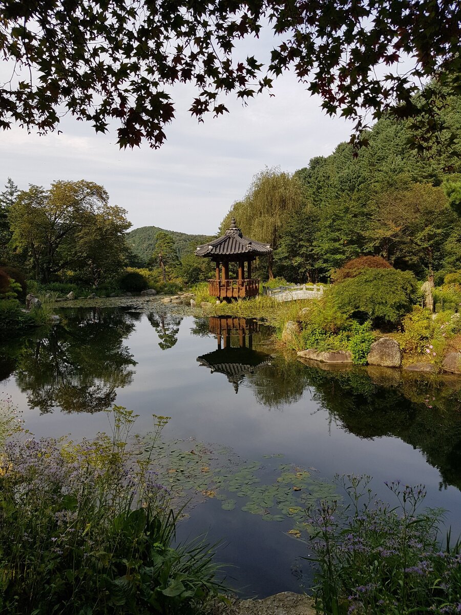 The Garden of morning Calm