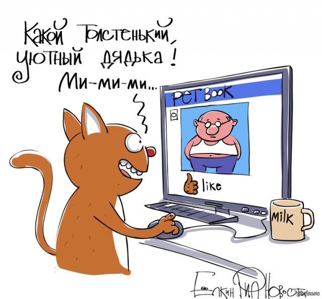 А каких дяденек вы бы лайкали, если бы были этим котом?