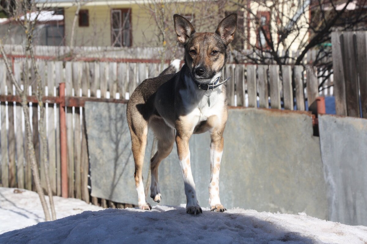 Кира - выпускница Банды Дворян