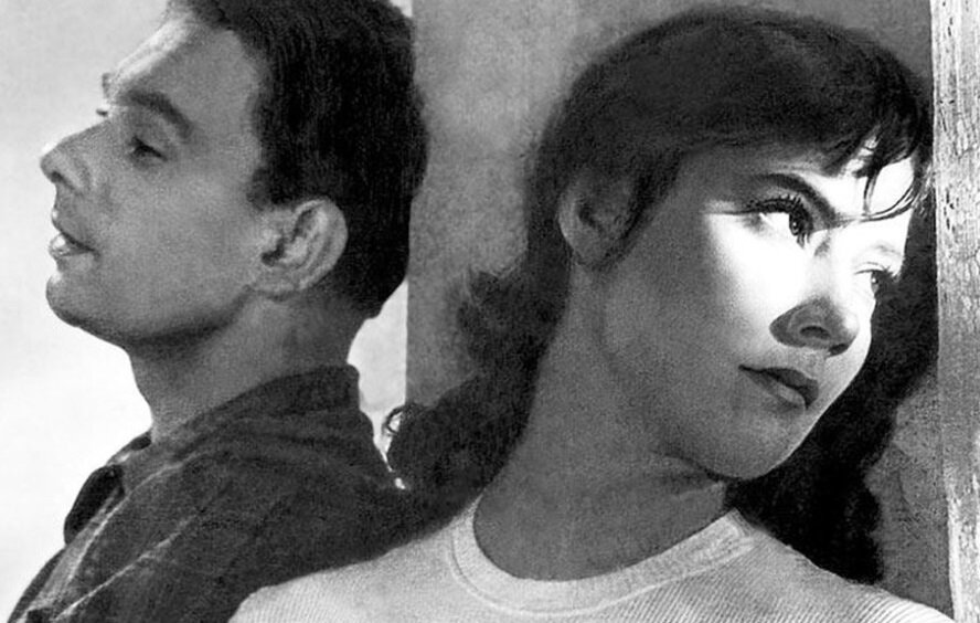 Кадр из фильма «Летят журавли»