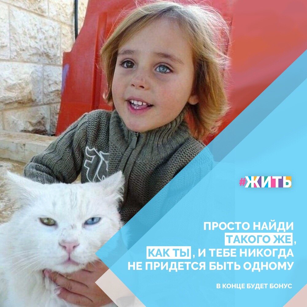 Одной из главных проблем человечества сегодня называют одиночество🙊

Нам кажется, что мы знаем выход: возможно рядом с вами есть одинокая бабушка, которой тоже так не хватает общения или если не получается найти друга среди людей можно найти его среди животных🤗

А у вас есть такой друг с которым вам никогда не бывает грустно? Присылайте ваши фото в комментарии😜😌

#жить #проектжить