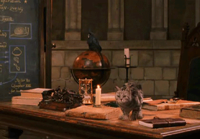 Женщина-кошка в Хогвартсе это к знаниям. Материал с ресурса harrypotter.com.ua