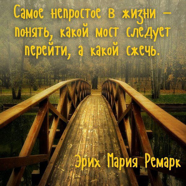 Фото из открытых источников сети интернет.