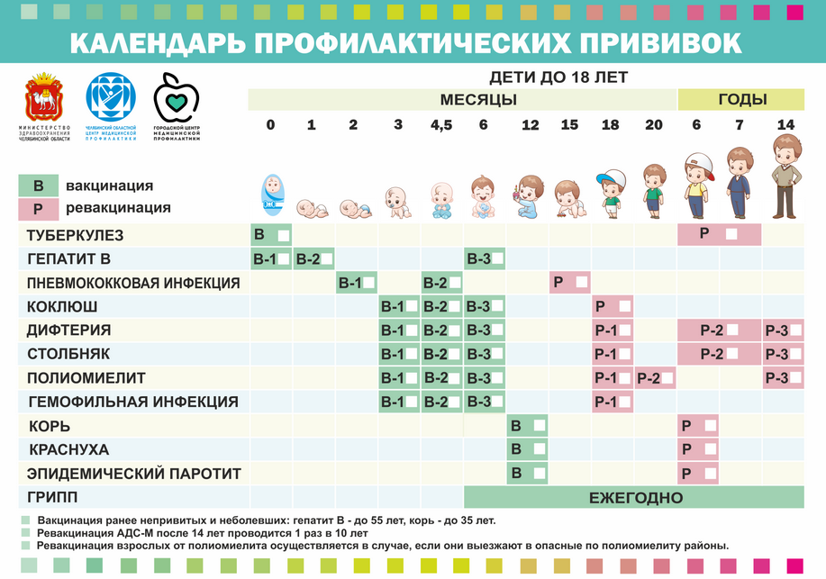 Календарь прививок в России. Источник; Яндекс картинки