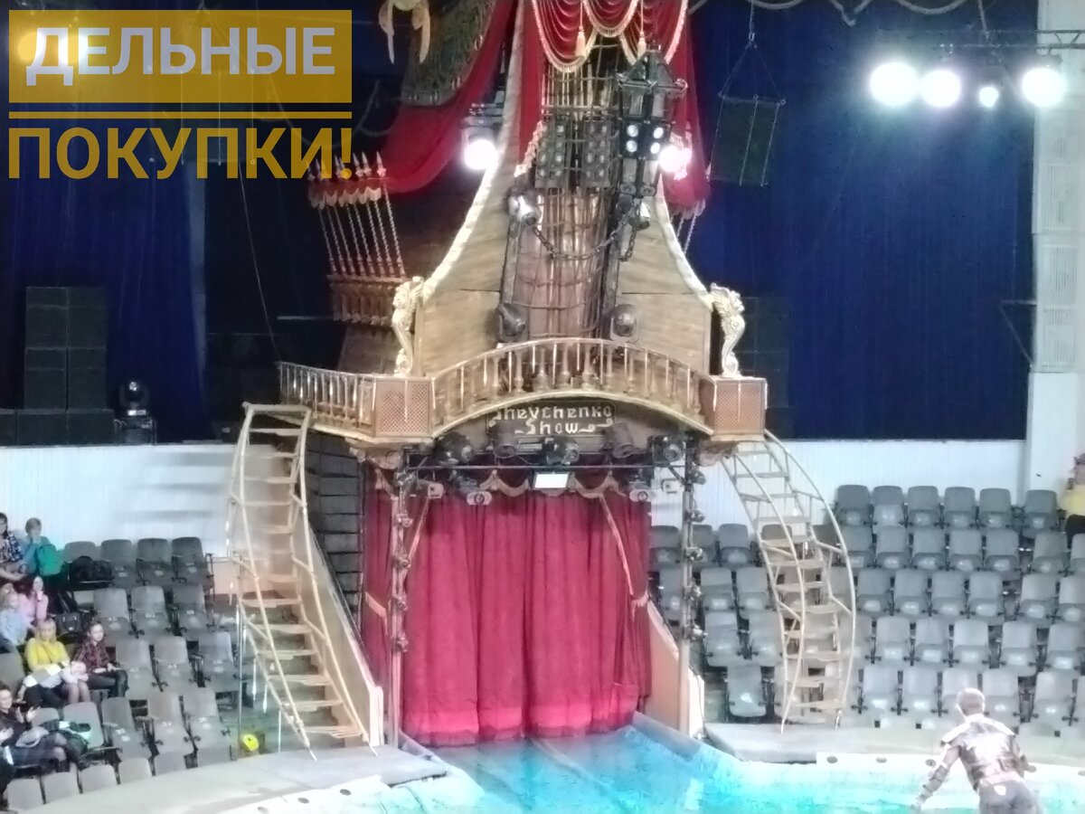 Фото от автора: оформление манежа цирка шоу цирк на воде "Новогодняя сказка"