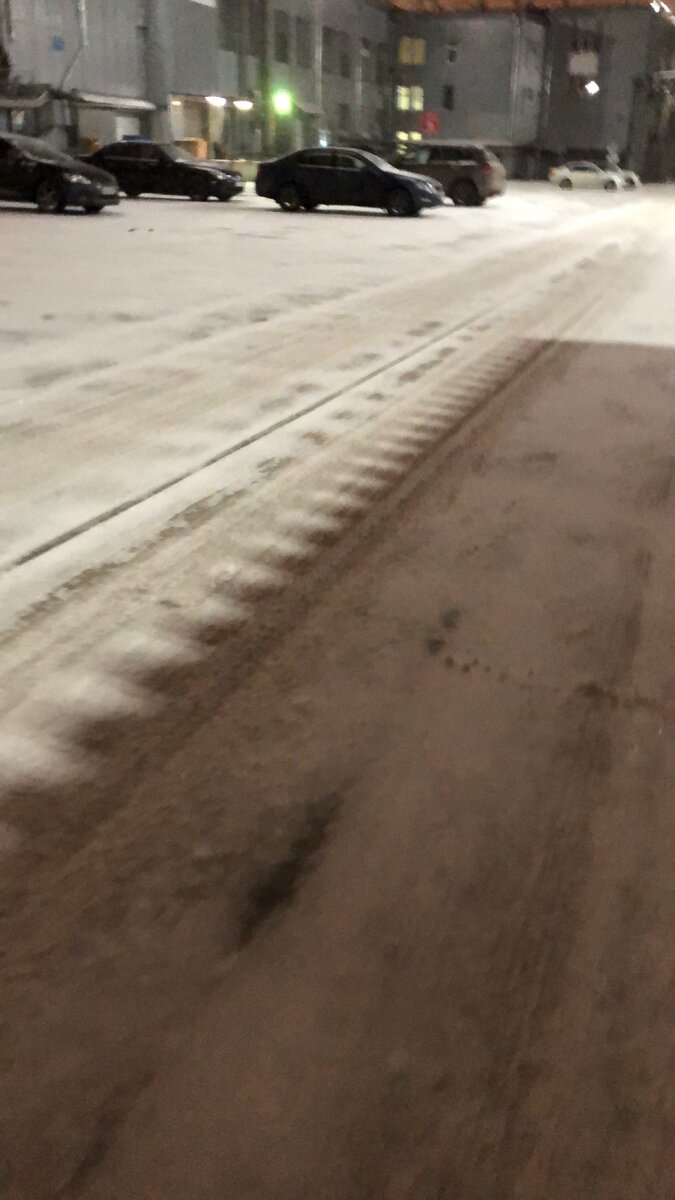 Снежок, которому я был дико рад.