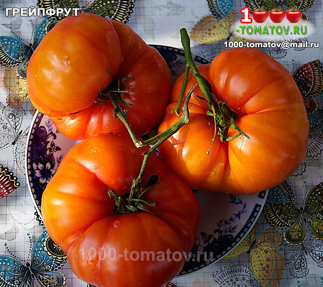 Томат Грейпфрут фото 1