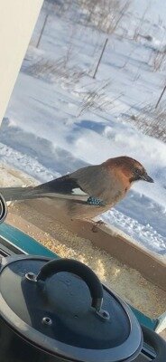 Фото: очевидец