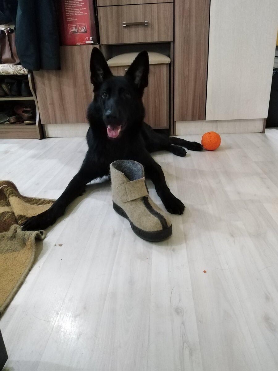 Девочка-демон наше второе имя😀