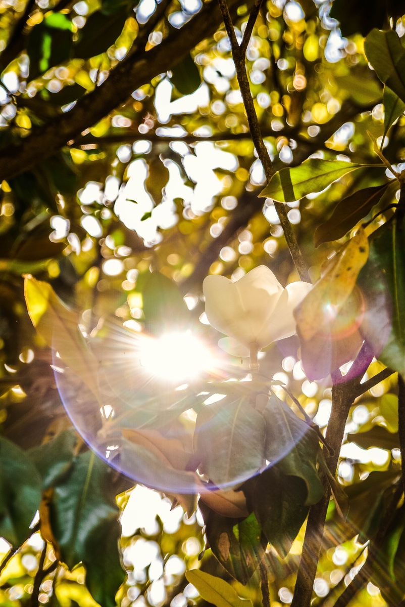 Источник фото Unsplash.com